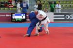 JudoVeteranenEM_0291.JPG