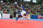 JudoVeteranenEM_1146.JPG