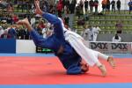 JudoVeteranenEM_1762.JPG